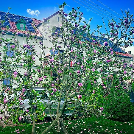 Wrzosowka * Jelenia Góra