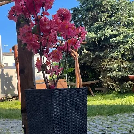 Wrzosowka Jelenia Góra