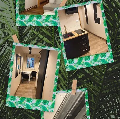 Апартаменты Wrzosowka *