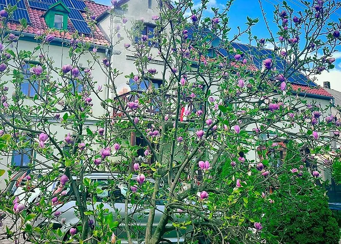 Wrzosowka * Еленя-Гура