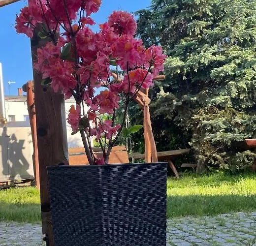 Wrzosowka Еленя-Гура